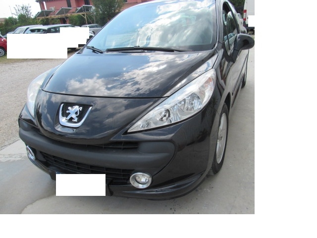 207 GPL NEOPATENTATI 3 PORTE 207 GPL NEOPATENTATI 3 PORTE