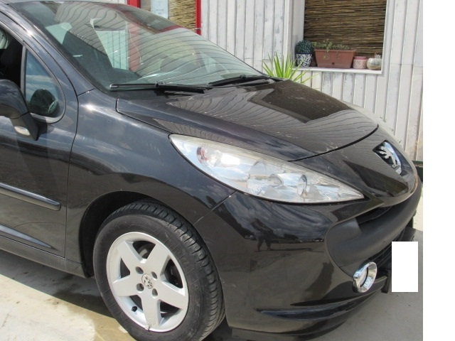 207 GPL NEOPATENTATI 3 PORTE 207 GPL NEOPATENTATI 3 PORTE